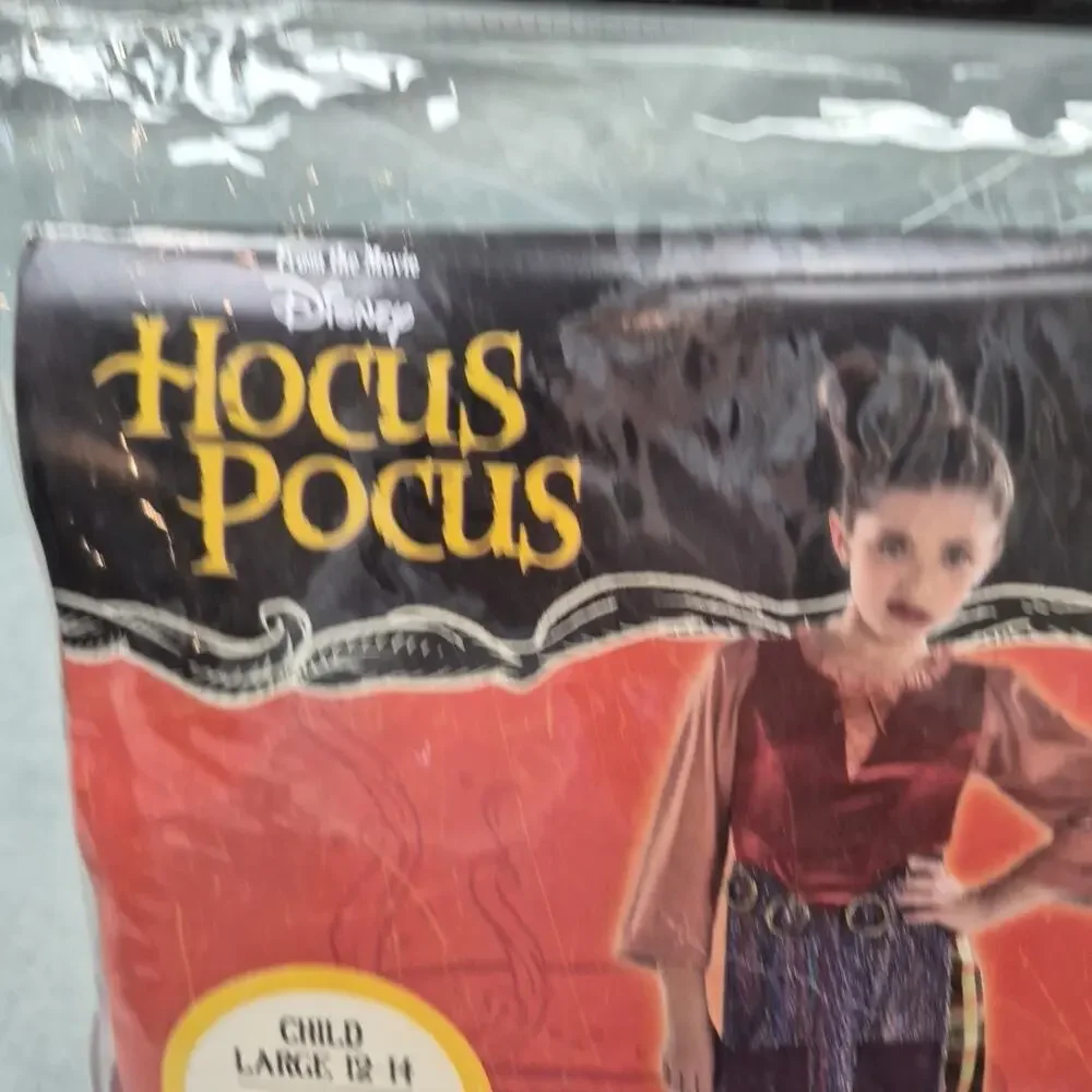 Hocus Pocus Mary Sanderson Costume Halloween Child Large 12-14 NEW Disney - Picture 3 of 9